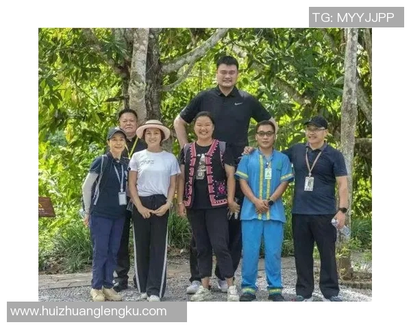 姚明转身离开篮球舞台背后的故事与上海的未来发展之路